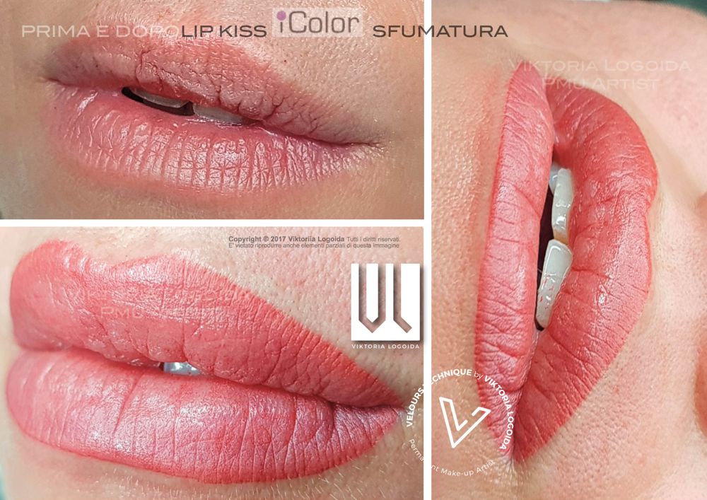 icolor 1ayout 1 copia