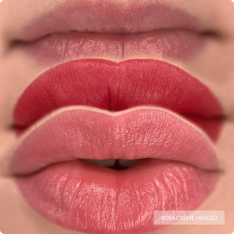 Rose Creme • 10 ml - iColor REACH - immagine 10