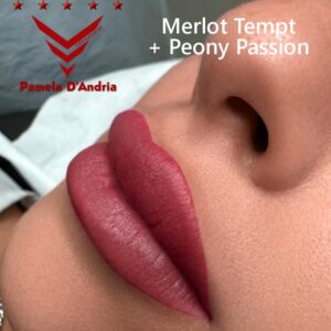 MERLOT TEMPT - immagine 8